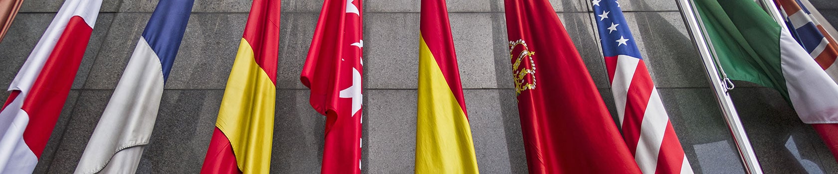 Flags hanging in front of a building